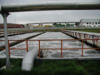 Aerator